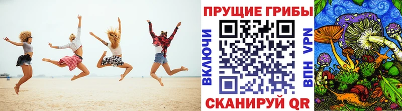 Псилоцибиновые грибы мицелий Заинск